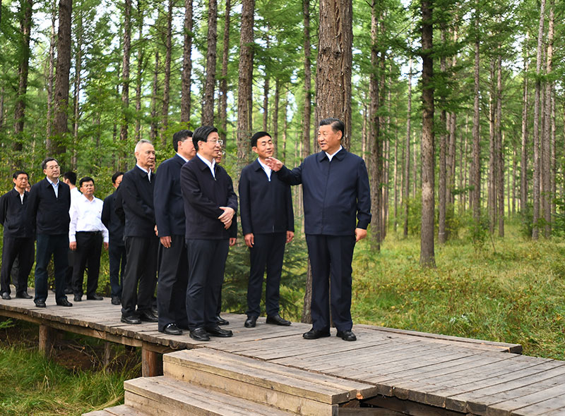 威廉希尔足球官网