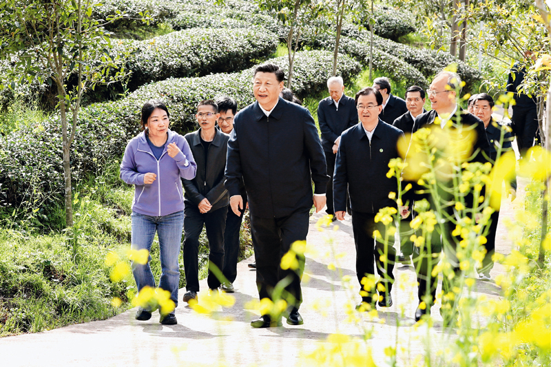 威廉希尔足球官网
