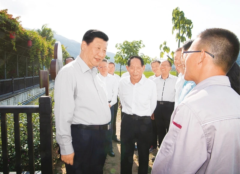 威廉希尔足球官网